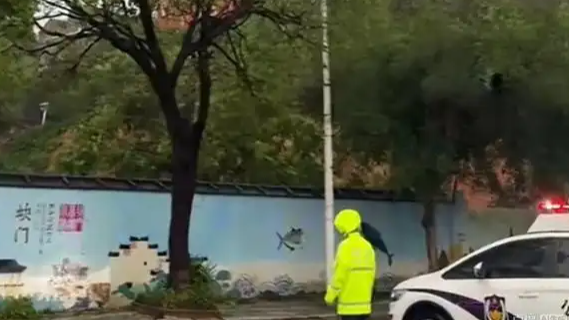 台风登陆半小时前后判若两地热搜配图