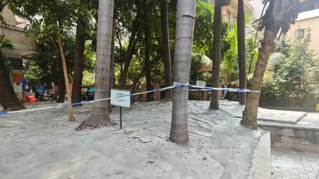 广州一人行道树池泥土表面被水泥封死热搜配图
